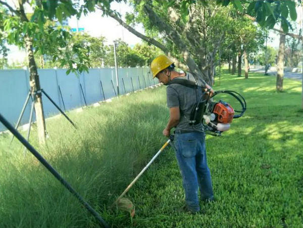 物業河道綠化、保潔、養護
